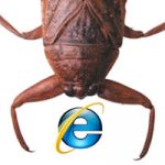 9个最常见IE的Bug及其fix